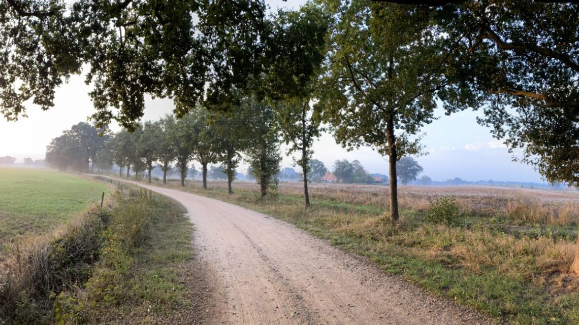 Artsen verenigen zich, en komen op voor de gezondheid