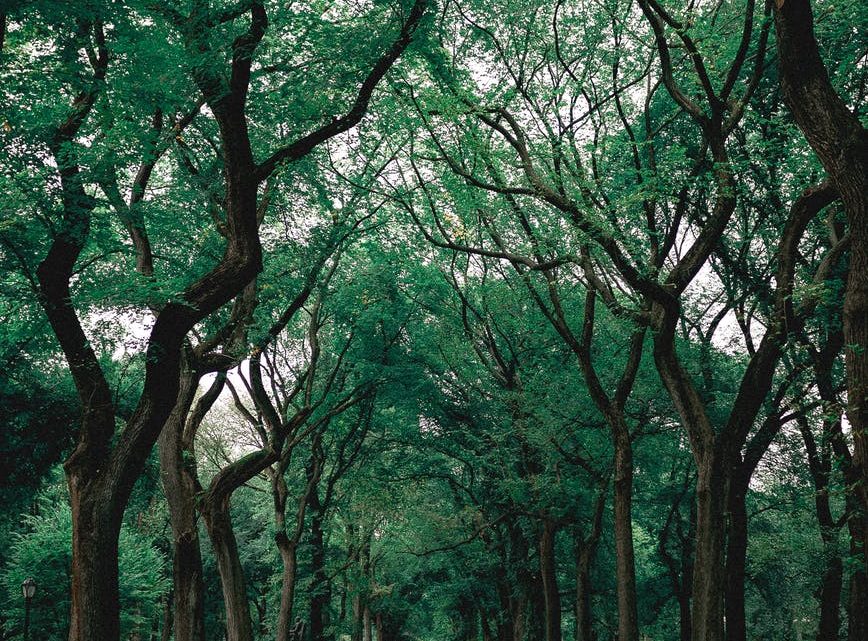 Hengelse zand: toch mega turbines in natuurgebieden? De weg wordt vrij gemaakt …